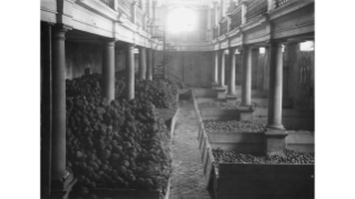 1918, Obstdepot in der Wasserkirche am Limmatquai in der Altstadt