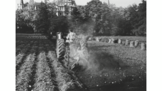 Um 1940, Kartoffelanbau im Arboretum
