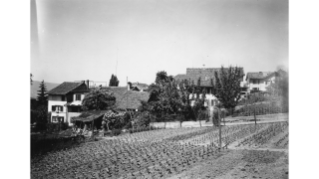 1947, Bauernhöfe und Scheunen an der Hinterbergstrasse in Fluntern