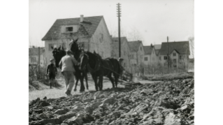 1942, Umbruch mit Pferdegespann im Ettenfeld in Seebach