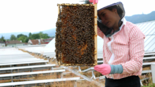2015, eine Imkerin mit Bienenwabe auf dem VBZ-Depot Wollishofen (Quelle: VBZ)