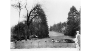 1912, der Rieterpark in der Enge