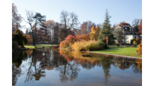 2015, der Belvoirpark in der Enge im Herbstkleid