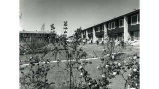 1953, Wohnsiedlung Au (Stiftung Wohnungen für kinderreiche Familien) an der Opfikonstrasse in Schwamendingen