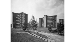 Um 1955, Wohnkolonie Heiligfeld in Wiedikon