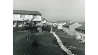 1956, Siedlung an der Salomon-Vögelin-Strasse in Leimbach
