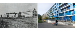 Die Siedlung Brunnenhof in Unterstrass in den Jahren 1933 und 2011