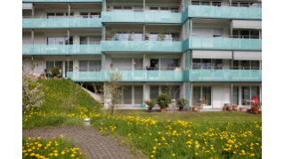 2010, Siedlung Friesenberg der SAW Stiftung Alterswohnungen der Stadt Zürich (Quelle: Dominique Meienberg)