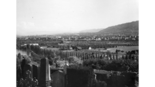 1942, Friedhof Höngg