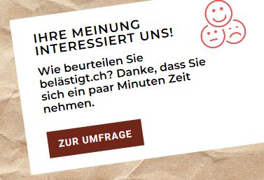 Online Befragung belästigt.ch