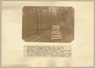 V.C.c.31.:2.10015. Scheiterbeige neben Waldeisenbahn. Geleise der Waldeisenbahn; daneben aufgeschichtetes Brennholz. (1912)