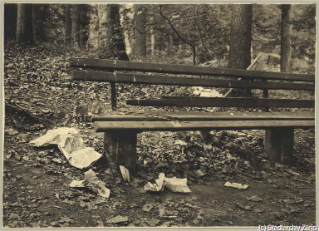 V.C.c.31.:2.10021. Abfall bei Sitzbank. Abfälle um eine Sitzbank am Waldrand verstreut, 1934. (1934)