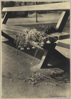 V.C.c.31.:2.10024. Blumenstrauss auf Sitzbank. Verlassener Blumenstrauss auf einer Sitzbank beim Bahnhof Sihlwald, 1934. (1934)