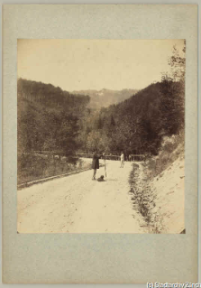 V.C.c.31.:2.10031. Spaziergänger auf Waldstrasse. Spaziergänger auf der alten Sihlstrasse beim Eichbachrank. Parallel dazu die Geleise der Waldeisenbahn. (1880)