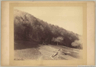 V.C.c.31.:2.10032. Baumstämme am Waldrand liegend. Auswurf einer Stammholzriese und am Waldrand von Bruggrain liegende Baumstämme, 1918 (1918)