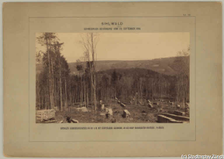 V.C.c.31.:2.10034. Waldschäden. Waldarbeiter rasten während der Aufräumarbeiten nach der Schneedruckkatastrophe im Sihlwald 1885. (1885)
