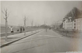 V.E.c.72.:1.2.1.1928.881b. Verkehrsunfall, Allmendstrasse (1928.03.06)