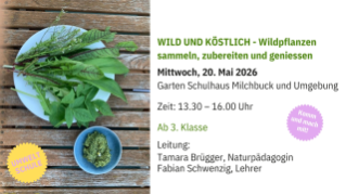 Umweltschule Screen Info 2026 - 2