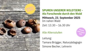 Umweltschule Screen Info 2026 - 10