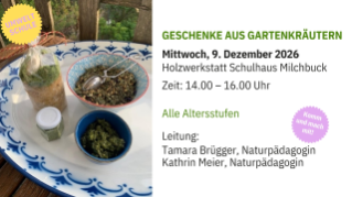 Umweltschule Screen Info 2026 - 13