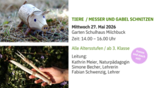 Umweltschule Screen Info 2026 - 3