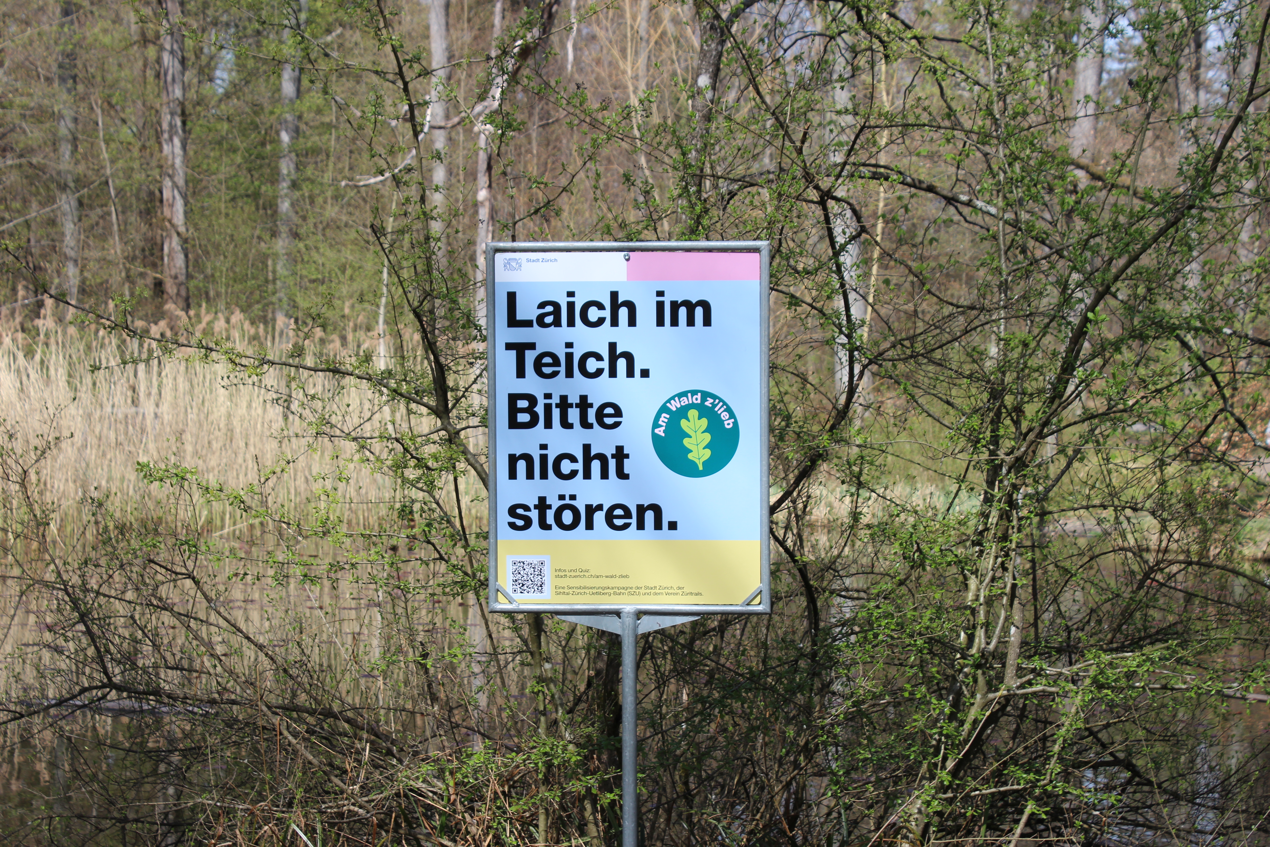 Plakat «Laich in Teich. Bitte nicht Stören»