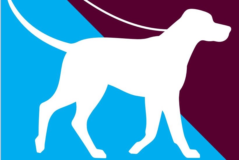 Die Illustration zeigt einen Hund an der Leine.