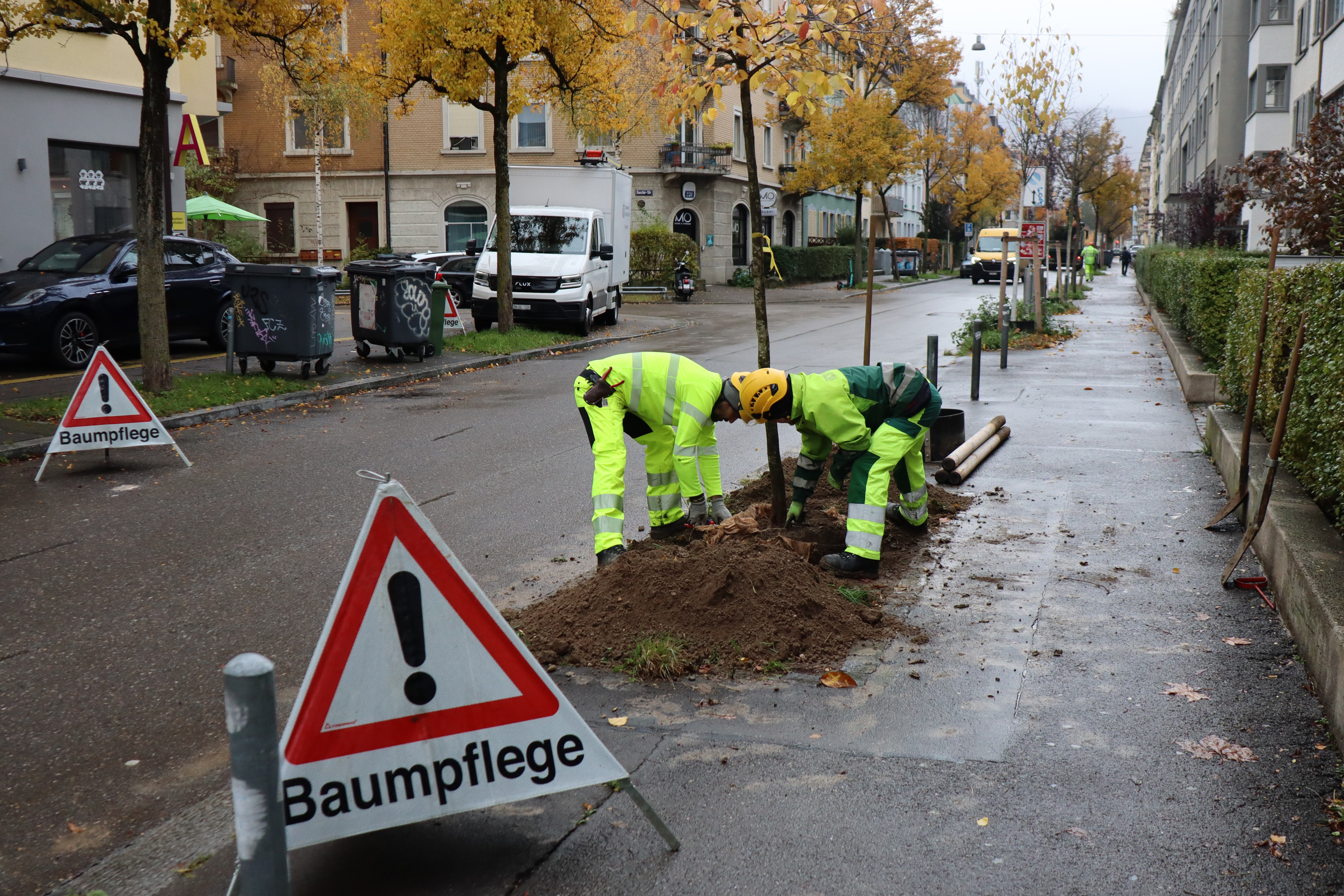 Das Bild zeigt zwei Personen, die an der Zypressenstrasse in Zürich einen Baum pflanzen.