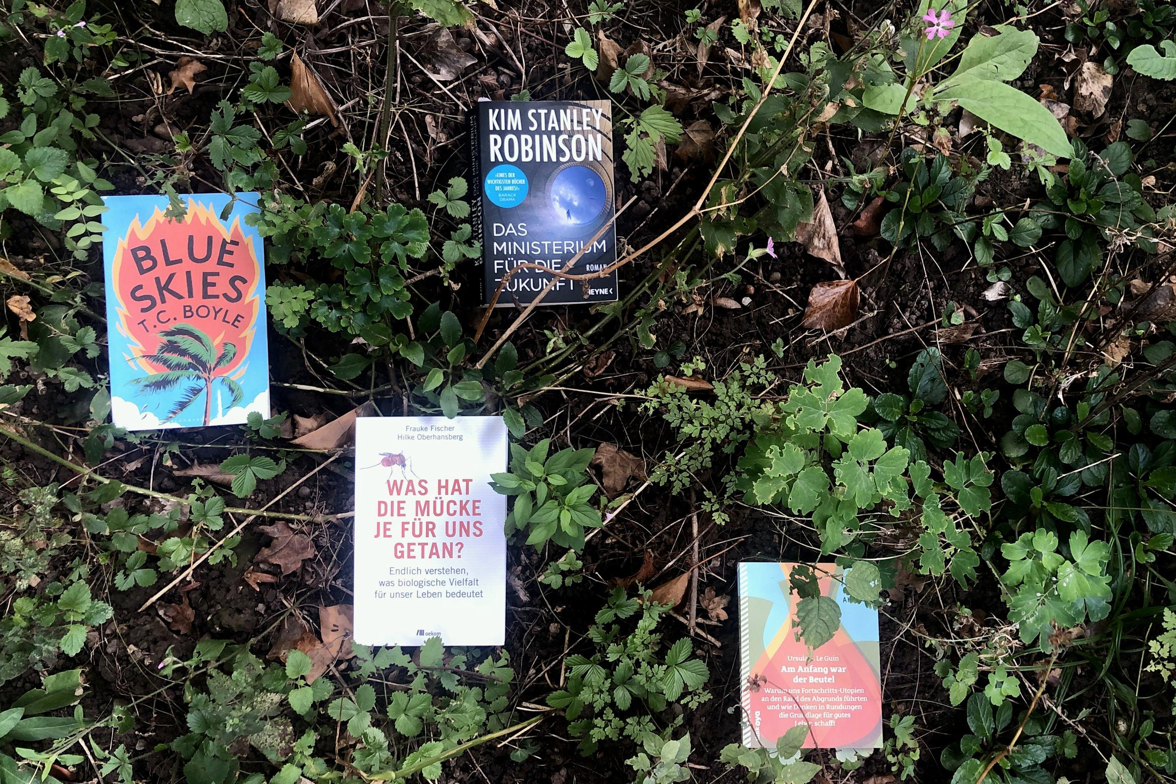 Das Bild zeigt verschiedene Bücher, die auf einem Rasen liegen.