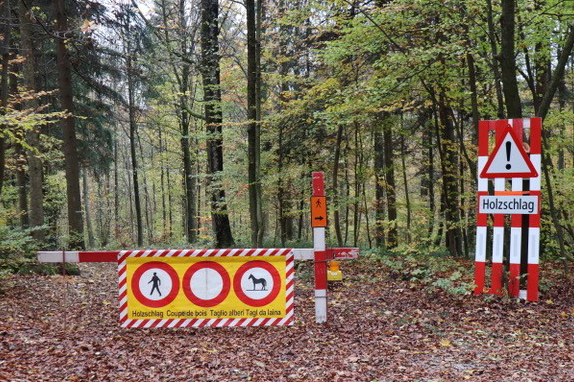 Das Bild zeigt eine Absperrung aufgrund von Holzschlag beim Käferberg.