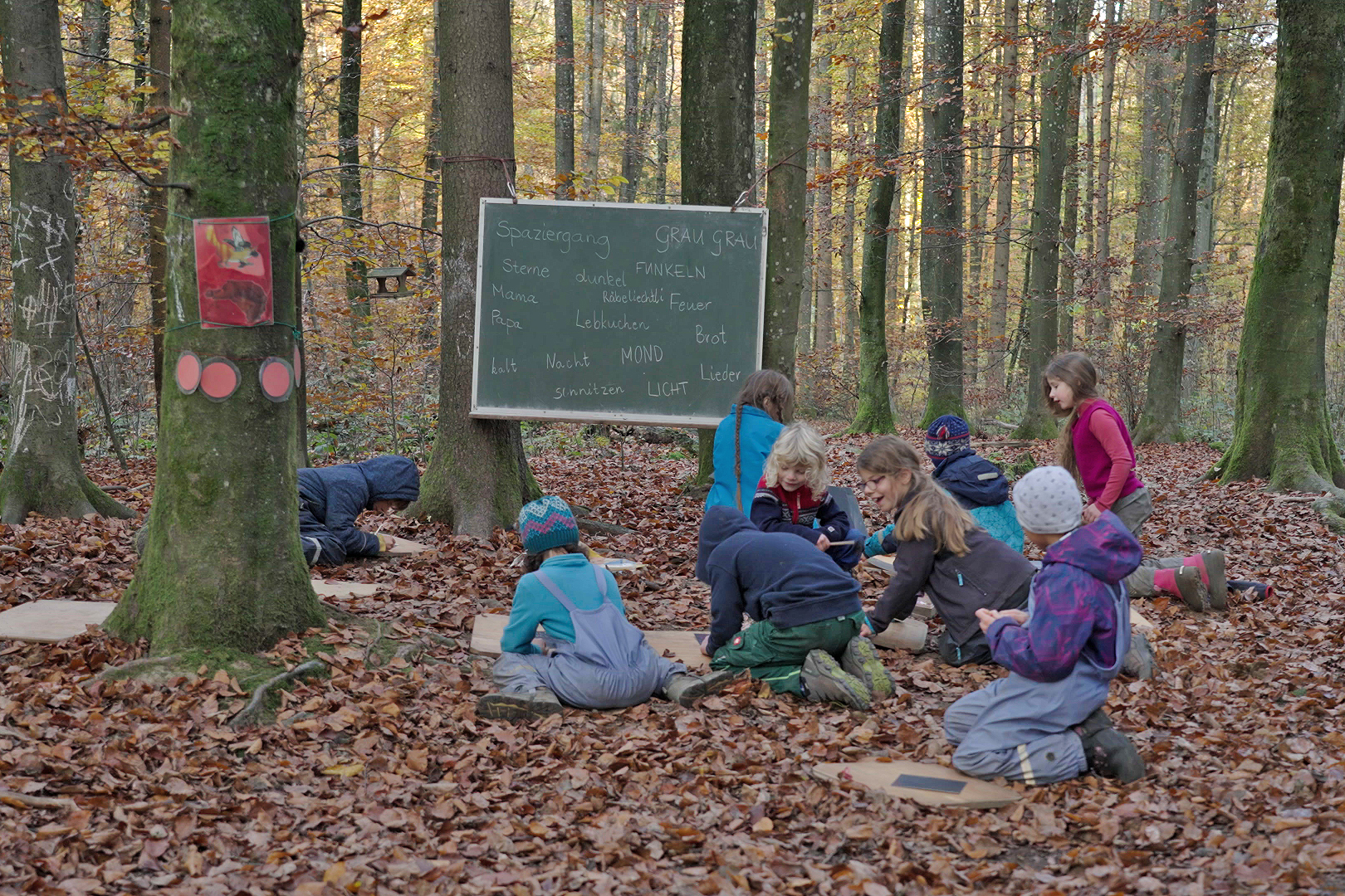 Kinder in einer Waldschule.