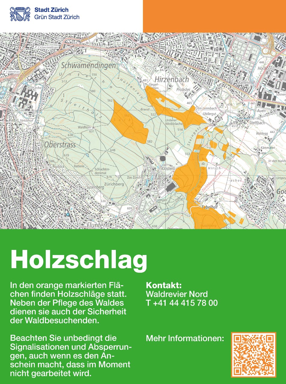 Holzschlag im Waldrevier Nord, Zürichberg.