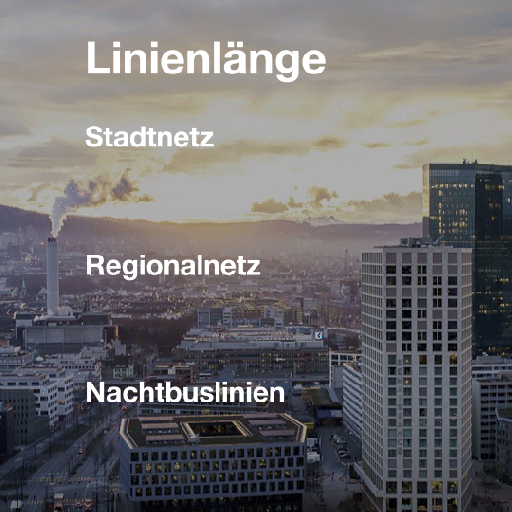 Kennzahlen Linienlänge Stadtnetz