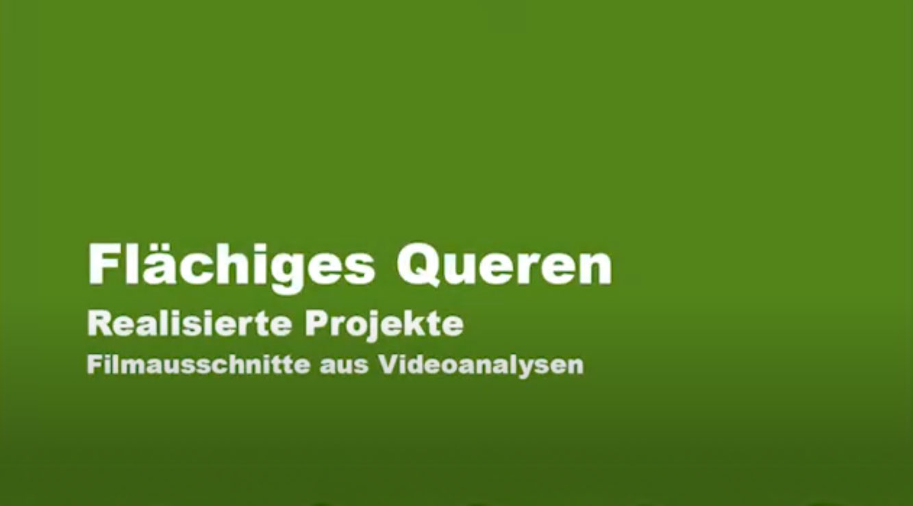 Flächiges Queren in Schweizer Städten