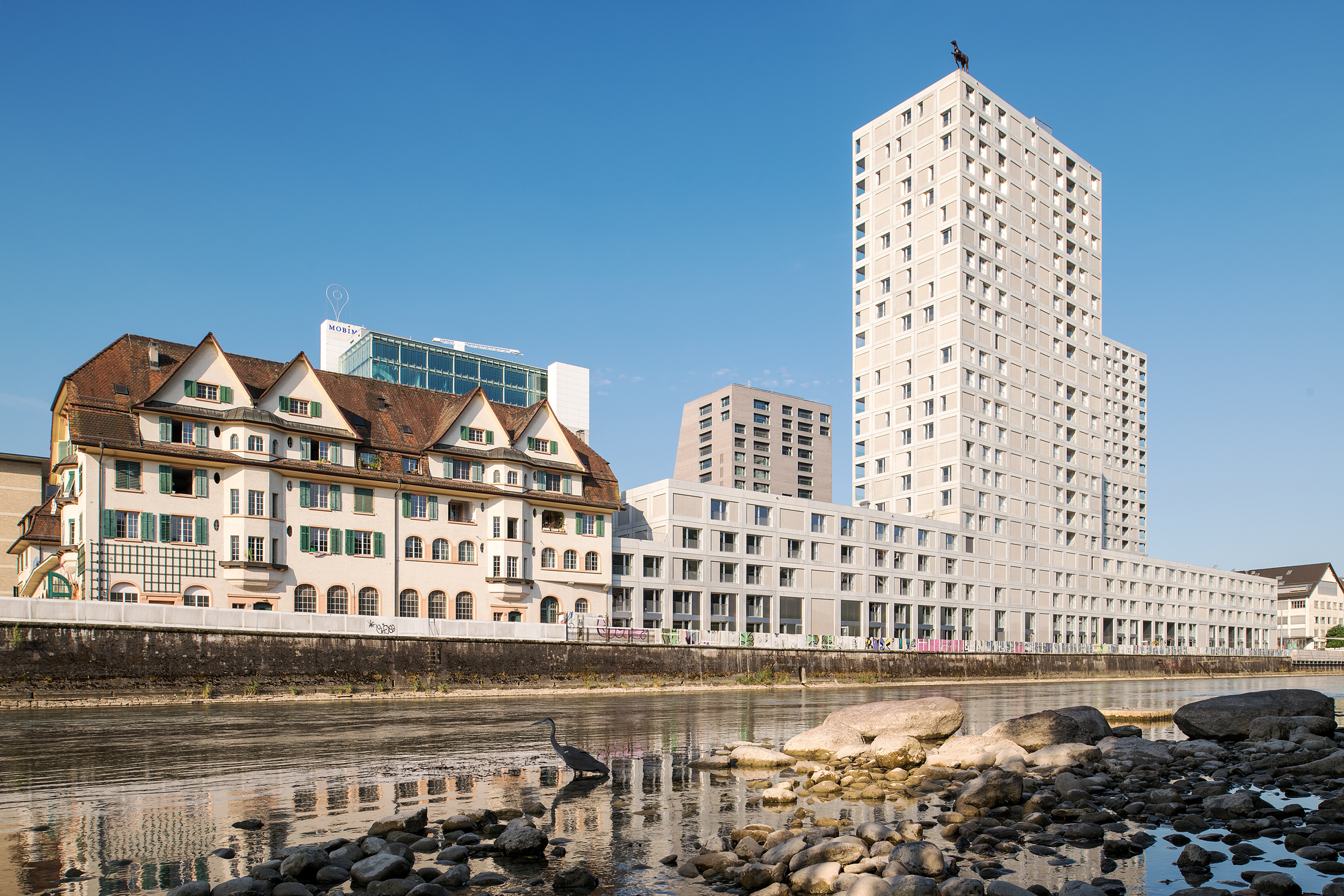 Blick vom Flussufer des GZ-Wipkingen auf das Tramdepot Hard.