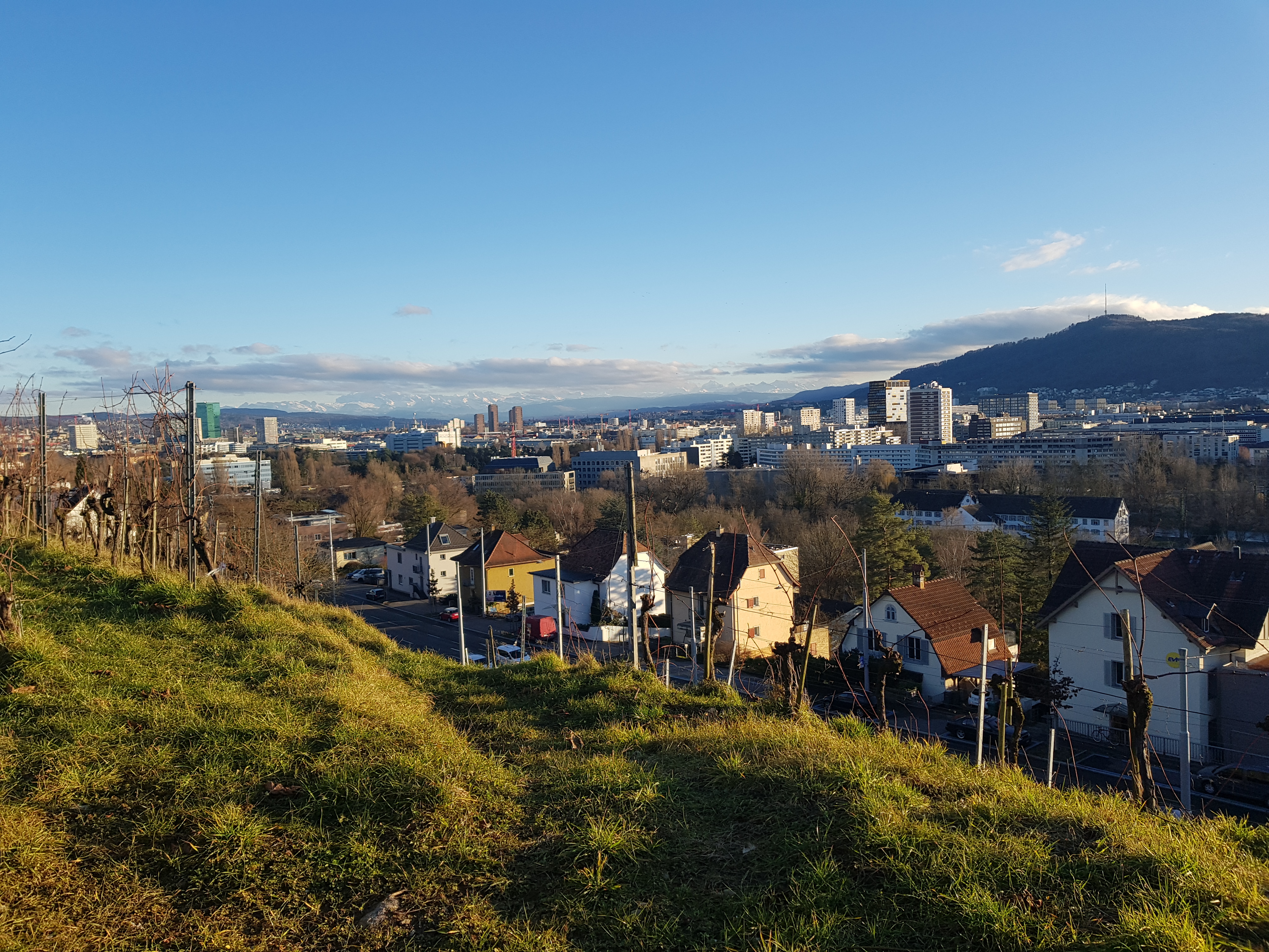 foxtrail-natur-20200131-163013