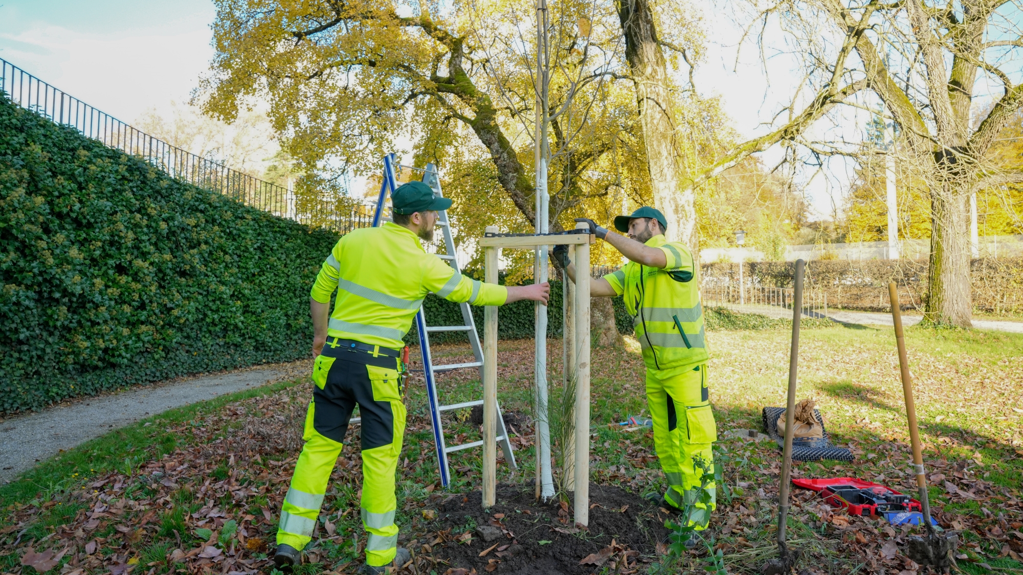 16-9-gsz-baumersatzpflanzung-muraltengut