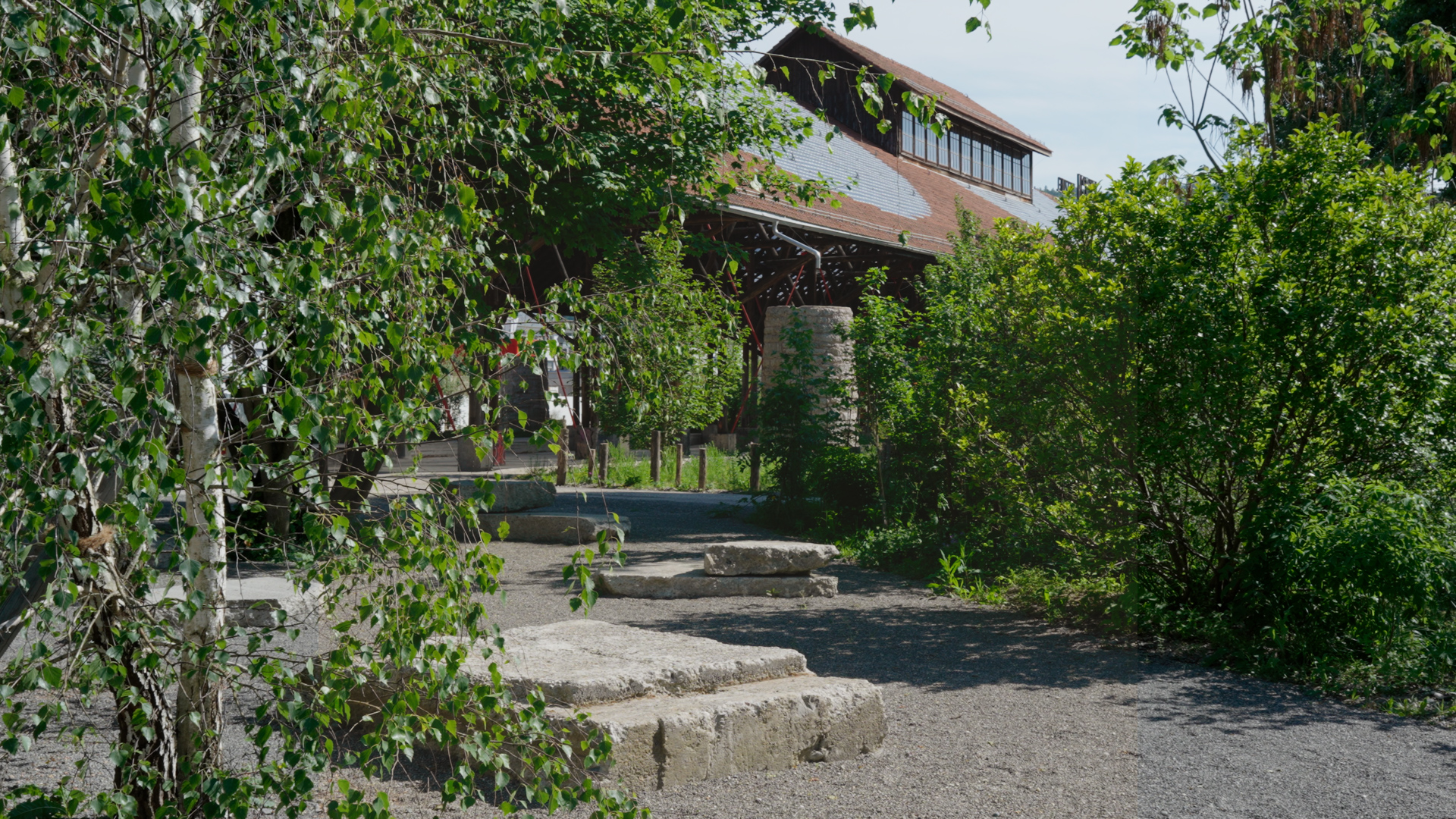 Video zum Koch-Park