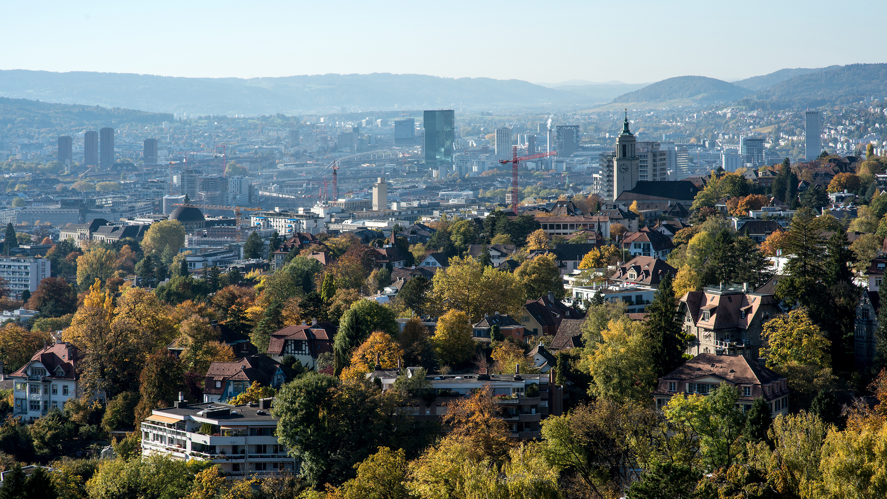 Massnahmengebiet Bäume beim Zürichberg