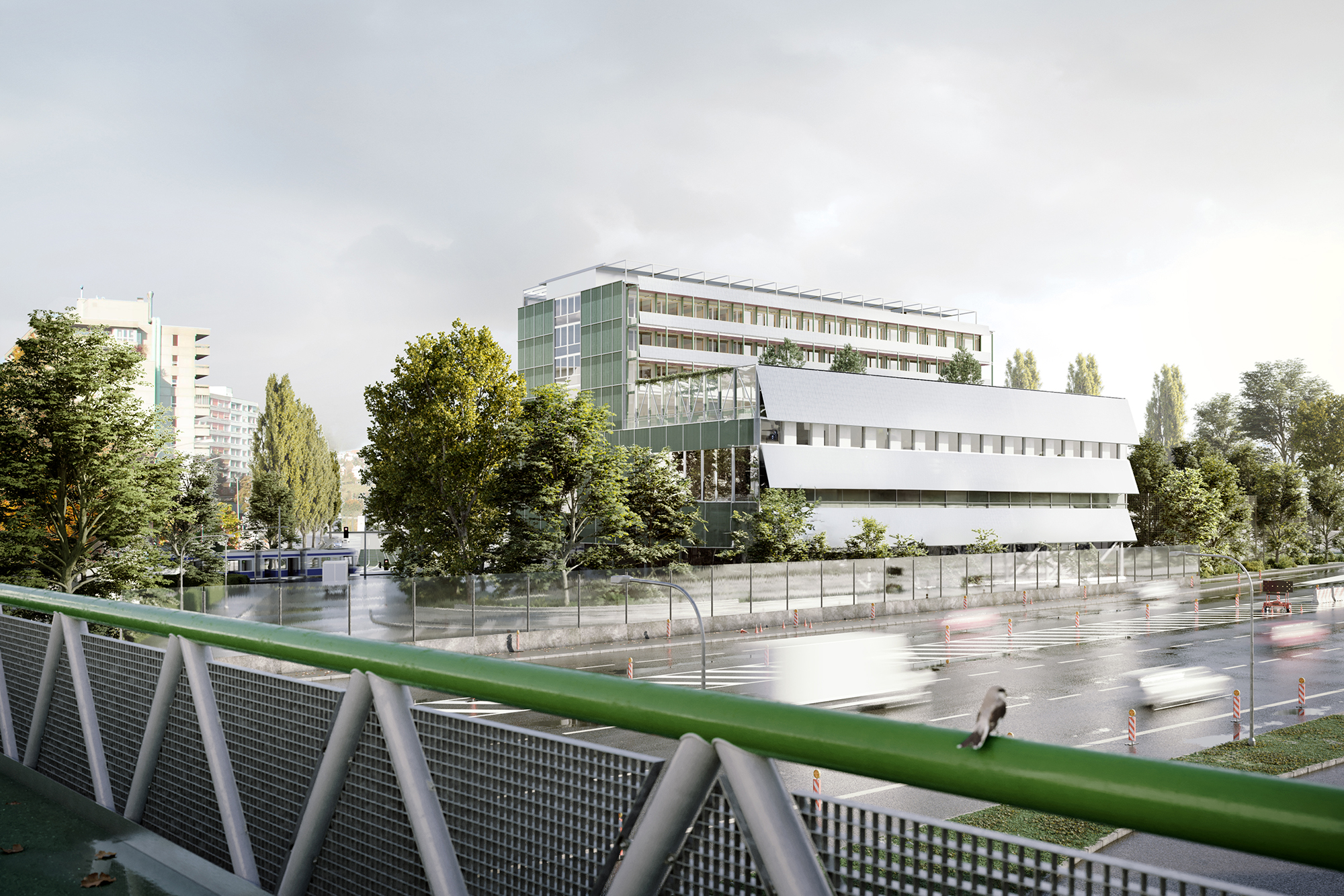 Visualisierung mit Blick auf die Schulanlage Tüffenwies.