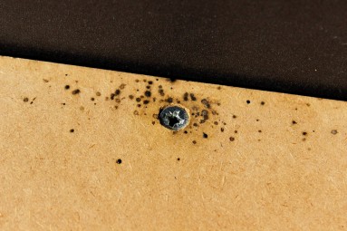 Kotspuren von Bettwanzen
