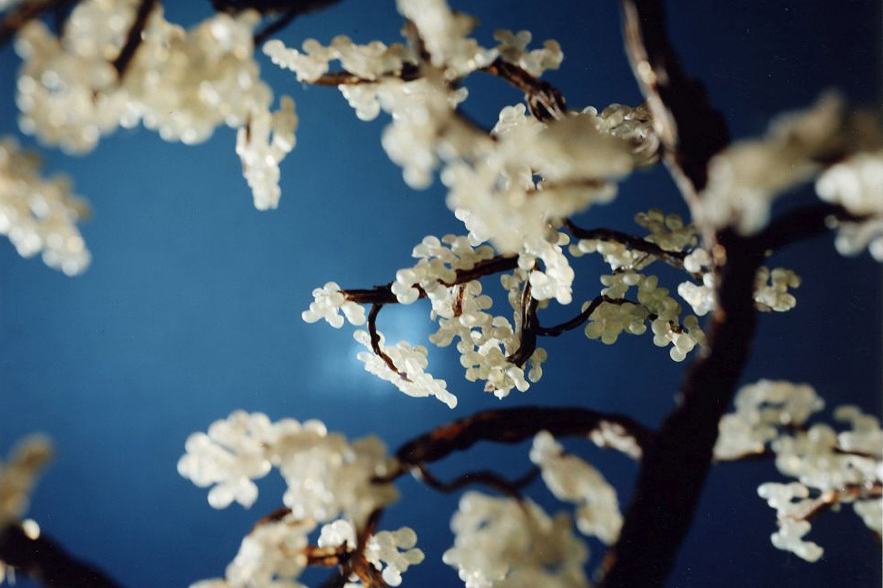 Bild mit blauem Hintergrund und künstlichen Kirschblütenzweigen 