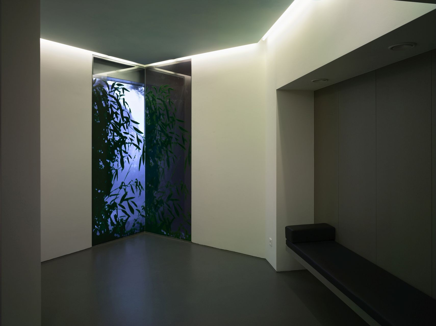 Indirekt beleuchteter Raum mit Glastür im Hintergrund, welches ein Pflanzenbild (Bambus) zeigt