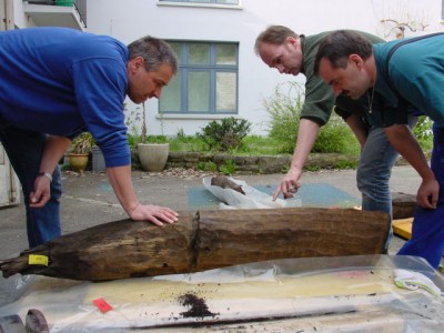 Dendrochronologe begutachtet mit dem Auftraggeber einen geborgenen Holzpfahl