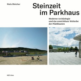 Cover von Steinzeit im Parkhaus
