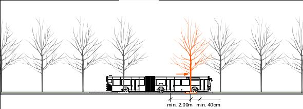 Verschiebung der Ersatzpflanzung. Schematische Ansicht. Verschiebung der Ersatzpflanzung. Schematische Ansicht.