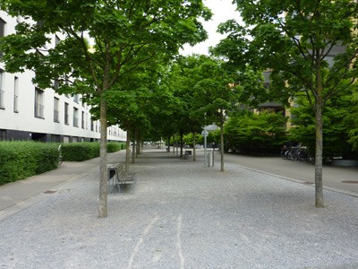 Binzallee. Chaussierter Aufenthaltsbereich mit seitlichen Rinnen.