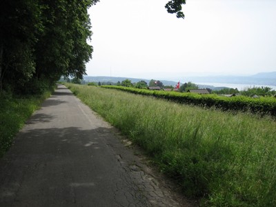 Orellistrasse/-weg. Panoramaweg entlang Waldrand Zürichberg, Asphalt, in Waldsaum zurückversetzte Bänke. Orellistrasse/-weg. Panoramaweg entlang Waldrand Zürichberg, Asphalt, in Waldsaum zurückversetzte Bänke.