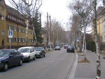 Guggachstrasse. Freie Strecke mit versetzten Parkplätzen und Allee.