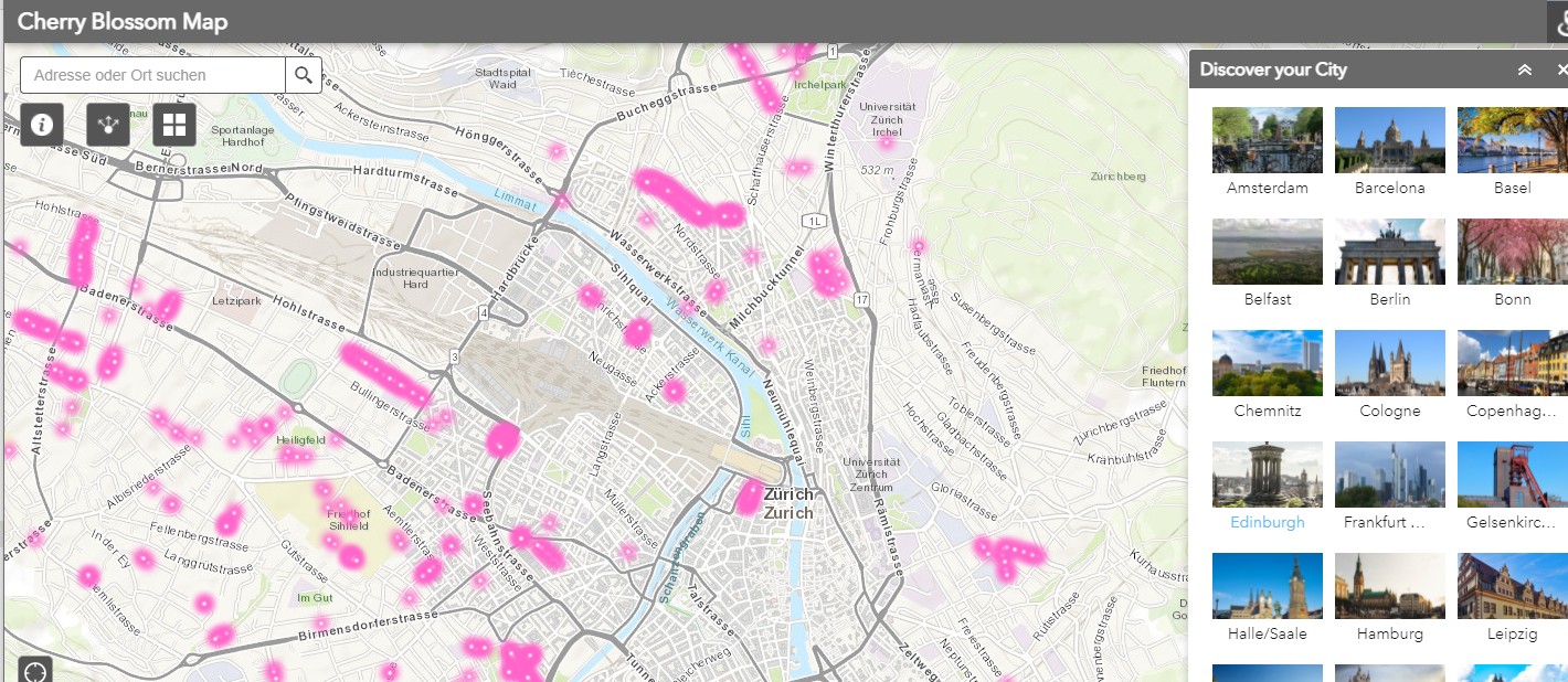 Preview der Anwendung «Cherry Blossom Map»